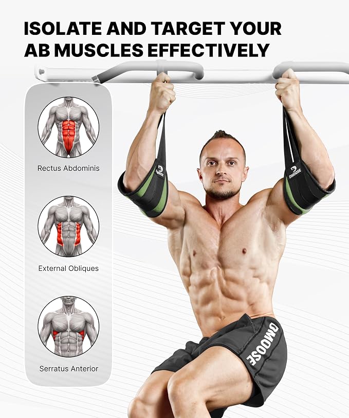 DMoose Fitness Hanging Ab Straps for Pull Up Bar & Core Strength Training - Soft Padded Exercise Straps for Ab Swing & Leg Raises, Hang Bar Strap with 2 Steel Carabiners - Abs Equipment for Home & Gym