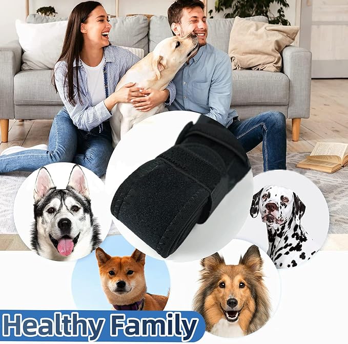 M Dog Leg Braces for Back Leg for Support with Cruciate Ligament Injury-Better Recovery with Dog Knee Brace for Torn Acl Hind Leg-Adjustable Hip Dysplasia Dog Acl Brace Hind Leg Rear