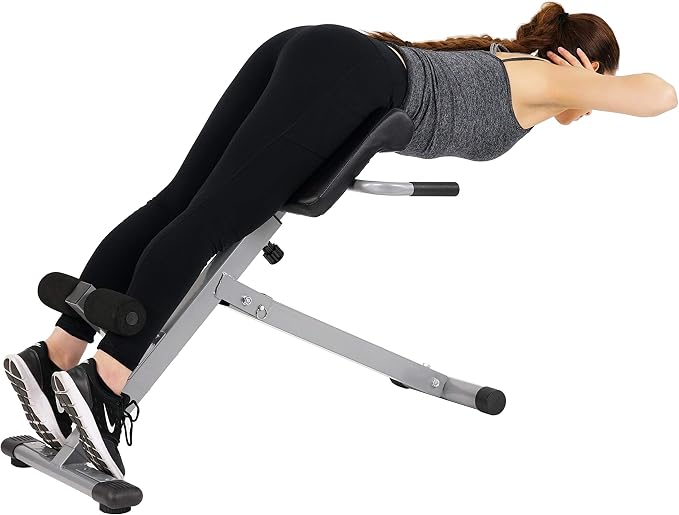 Sunny Health & Fitness Foldable Roman Chair, Back Hyperextension Bench | Adjustable Height, Folds Flat for Storage, Built in Dip Station, Targets Back, Abs & Core, Crunches & Back Extensions