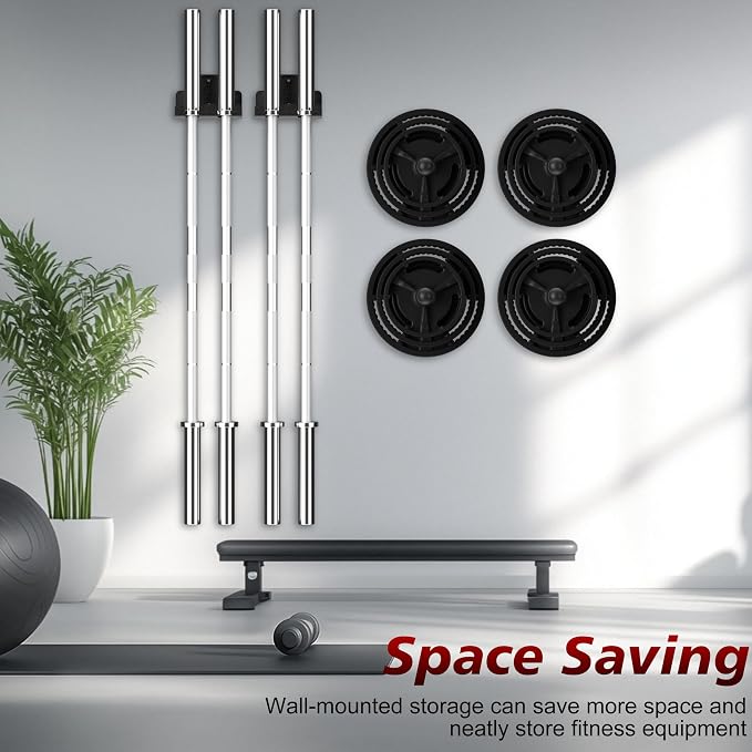 Wall Mounted Weight Plate Holder, 4 Pack, with 1 Pack Barbell Hanger | Fits 2" Weight Plates, Heavy-Duty Steel, Smooth End, Protective Rubber Pad, Space Saving for Home Gym Garage Organizer