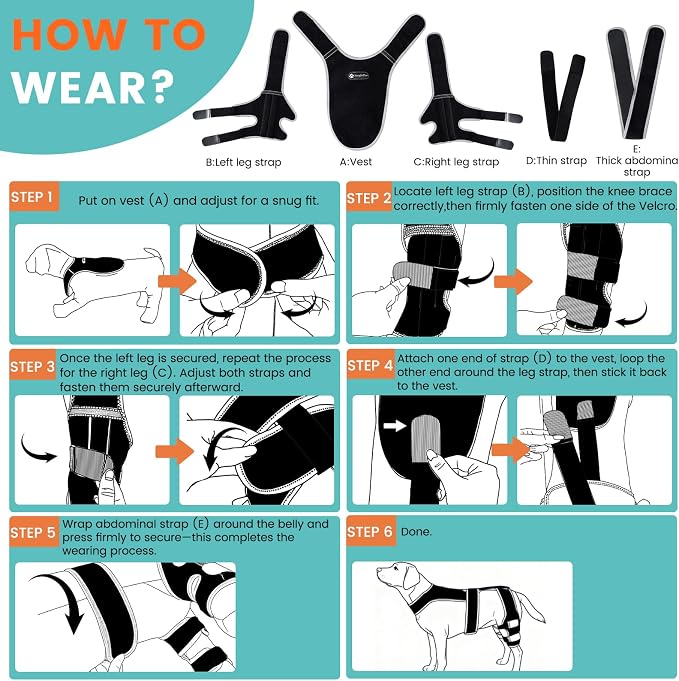 Snagle Paw Dog Knee Braces for Back Legs, ACL/CCL Support, M | Double-leg support, 4 reinforced stays, triple anti-slip fit, for walks, recovery, post-op care
