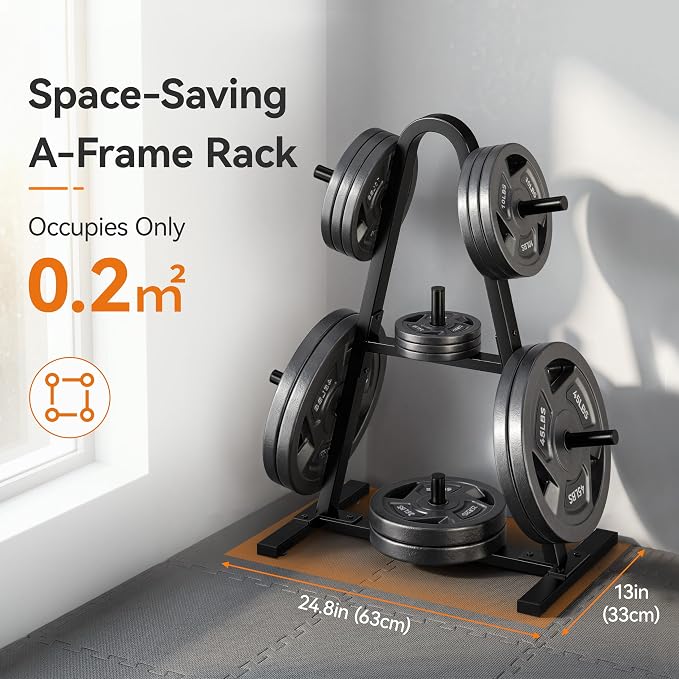 Weight Rack for Home Gym, 400 LB Weight Tree
