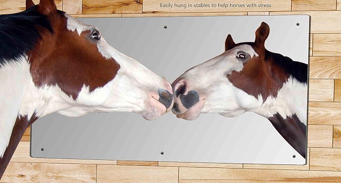 Marketing Holders Acrylic Mirror Sheet 24" x 48" with Hanging Hardware Plexiglass Decorative Tile Glass Replacement Reflective Plate with Holes for Gyms Yoga Dance Studios and Shoe Stores