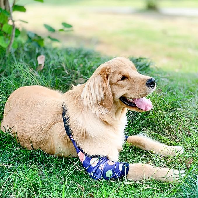 HDKUW Dog Elbow Protector, Dog Front Leg Recovery Sleeve for Prevent Licking Wound, Elbow Sleeves with Mesh Pad for Medium Large Dogs Universe XL