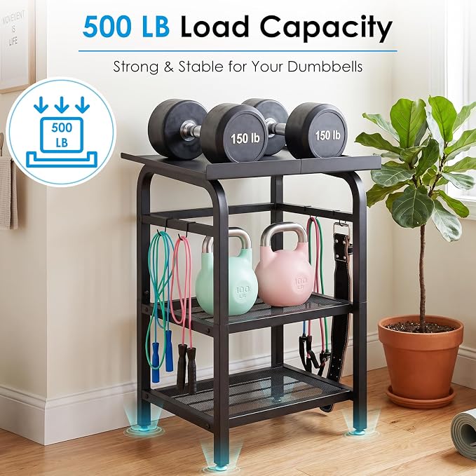 Dumbbell Rack Stand Only, 500LB Capacity for Adjustable Dumbbells, Home Gym