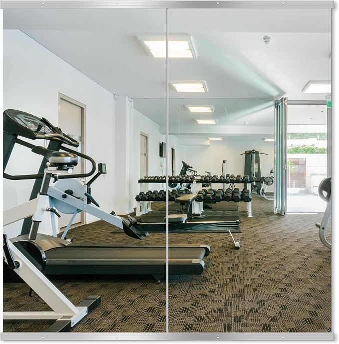 Delma Home Gym Mirror, 50''x25''x2PCS Silver Wall Mounted | Large, Frameless, Tempered Glass, For Home Gym, Garage, Bedroom, Bathroom