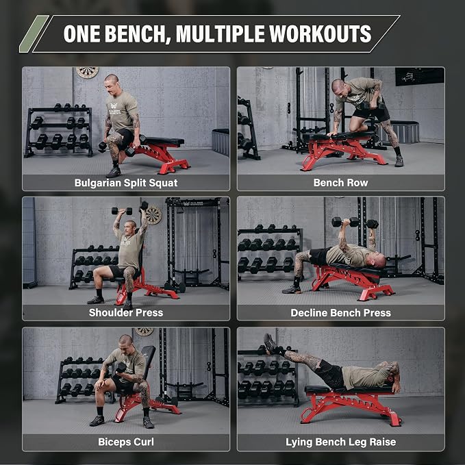 MAJOR FITNESS Weight Bench, Adjustable Workout Bench for Strength Training, Bench Press, and Full-Body Workouts for Home Garage Gym