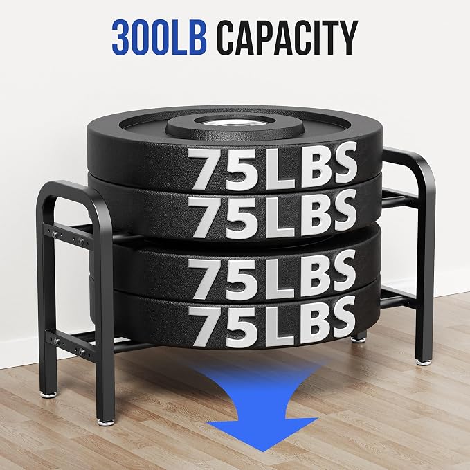 2 Tier Dumbbell Rack, Weight Rack for Home Gym, 300 lb Capacity