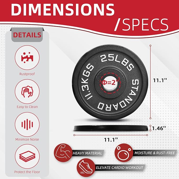 2" Cast Iron Weight Plates | 2.5LB to 45LB Standard Gym Plates (Singles, Pairs & Multi-Pack Sets) | Black with Silver Numbers for Barbell, Dumbbell, Powerlifting & Home Gym