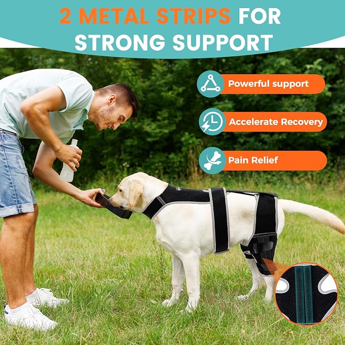 Snagle Paw Dog Knee Braces for Back Legs, ACL/CCL Support, XL | Double-leg support, 4 reinforced stays, triple anti-slip fit, for walks, recovery, post-op care