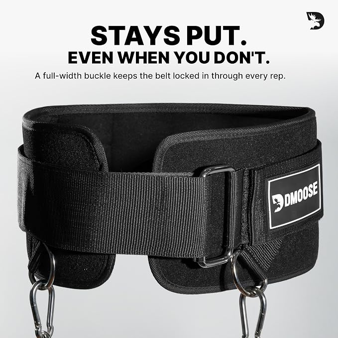 DMoose Fitness Dip Belt for Weight Lifting, Pullup, Squats & Dips - 36" Robust Steel Chain, Comfortable Neoprene Padding Supports 350lbs - Gym Weight Belt for Strength Training Workout & Weightlifting