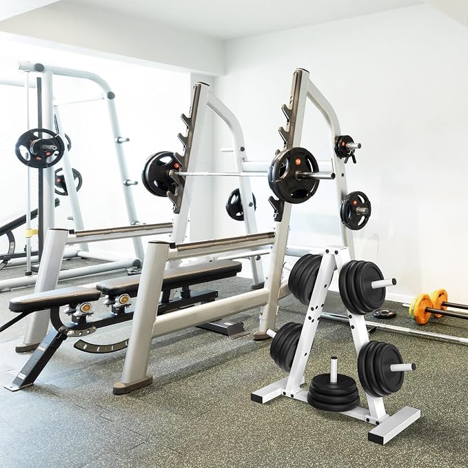 Weight Plate Rack, Weight Tree, Home Gym Storage Stand, Holds 300 lbs