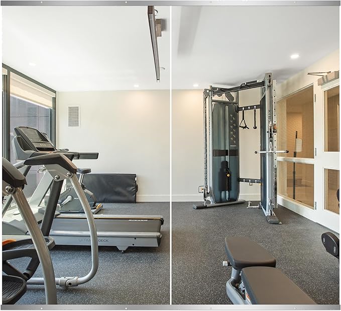 Delma Home Gym Mirror, 54''x28''x2PCS Silver | Large Full Body, Tempered Glass Frameless, Wall-Mounted, For Gym, Yoga, Garage, Bedroom, Bathroom