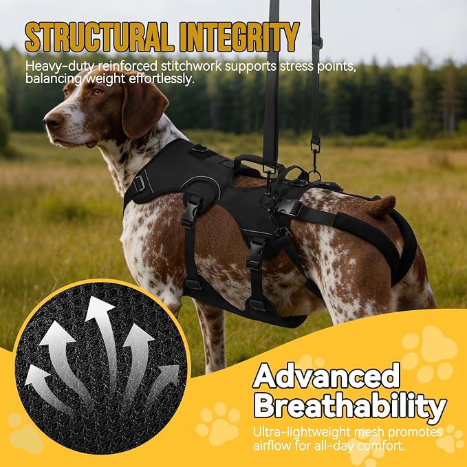 NOYAL Adjustable Dog Lift Harness with Padded Handle, Reflective Full Body Support Vest for Senior Disabled Pets, Breathable Air Mesh, Detachable Hind Leg Lifting Straps
