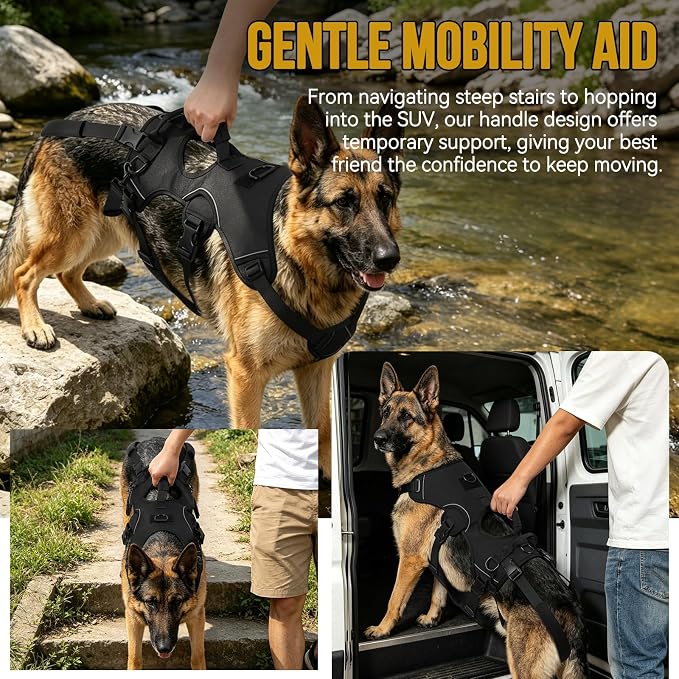 NOYAL Adjustable Dog Lift Harness with Padded Handle, Reflective Full Body Support Vest for Senior Disabled Pets, Breathable Air Mesh, Detachable Hind Leg Lifting Straps