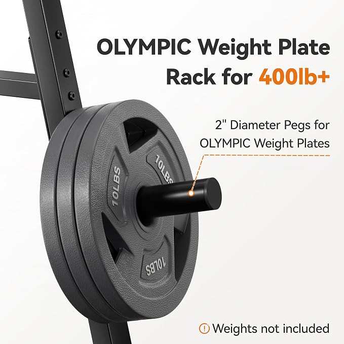 Weight Rack for Home Gym, 400 LB Weight Tree