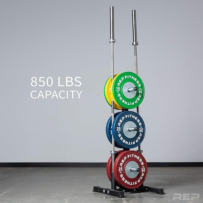 REP Fitness Bar and Weight Plate Tree Rack, Olympic Bumper Iron Storage Stand, Home Gym Organizer with 6 Chrome Horns, Dual Barbell Holders, 850 lb Capacity, Compact 24L/24W/50H in, Heavy Duty Steel