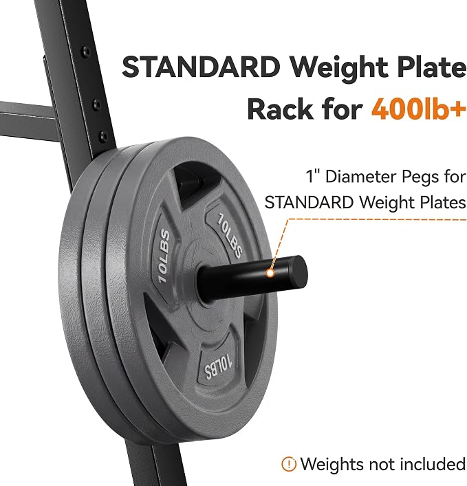 Weight Rack for Home Gym, 400 LB Weight Tree