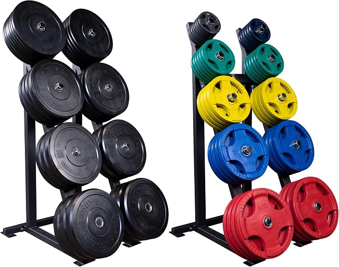 Body-Solid (GWT76) High Capacity Olympic Plate Rack - Modular Bumper & Traditional Weight Storage, Durable Steel Weight Horns, Space-Saving Wall Rest Design