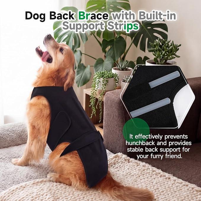 Back Brace for Dogs with Strong Spine Stability Support, Black XS | IVDD Mobility Back Brace for Pet, Breathable & Adjustable for Joint & Hip Support Senior or Less Mobile Dogs