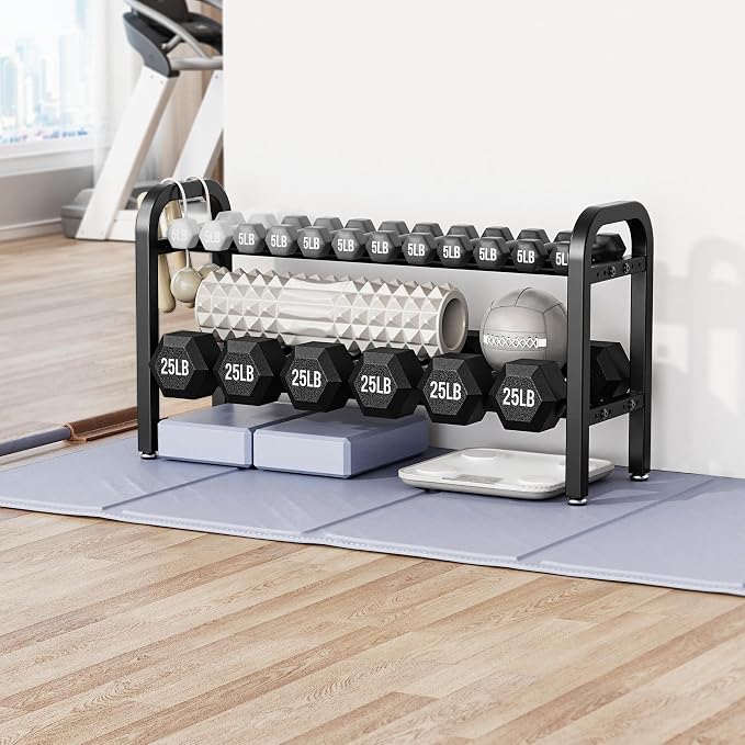 2 Tier Dumbbell Rack, Weight Rack for Home Gym, 300 lb Capacity