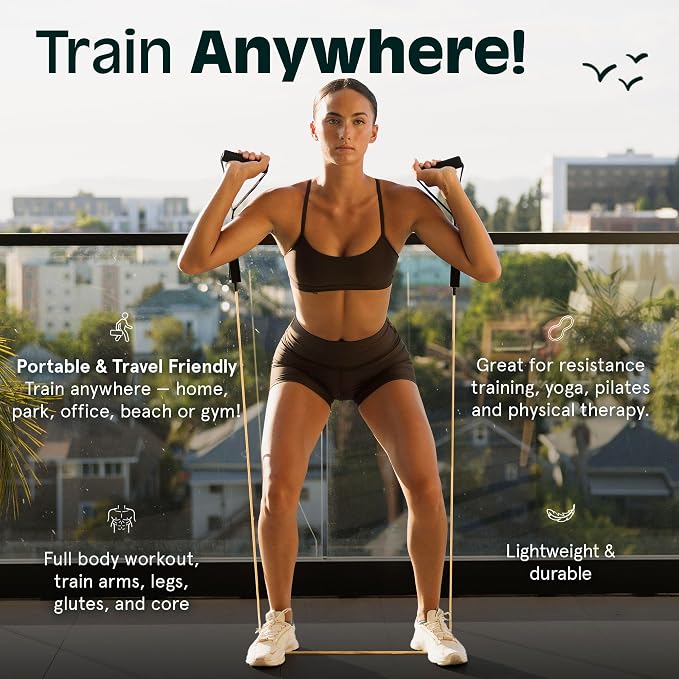 Retrospec Train Resistance Bands Set for Working Out - 5 Stackable Bands, Handles & Door Anchor - Portable Fitness Equipment for Physical Therapy & Yoga Includes Carry Bag