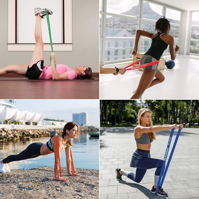 WIKDAY Resistance Bands, Pull Up Bands, Workout Bands for Exercise, Thick Heavy Resistance Band Set with Door Anchor, Elastic Bands for Body Stretching, Training at Home/Gym for Men & Women