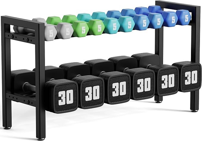 Dumbbell Rack 2-Tier Adjustable Weight Rack For Home Gym Dumbbells Kettlebell (Rack Only)
