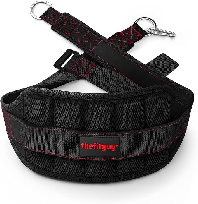 THEFITGUY Original Belt Squat Belt for Rack Attachments & Squat Machines | Structured Back Support, Low-Profile Straps, Stays Low, Moves Clean, Up to 350 lbs, Heavy-Duty