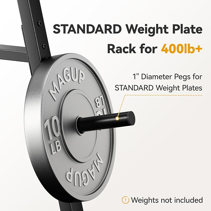Weight Plate Rack 400LBs, Weight Tree Holder for Home Gym, Barbell & Bumper
