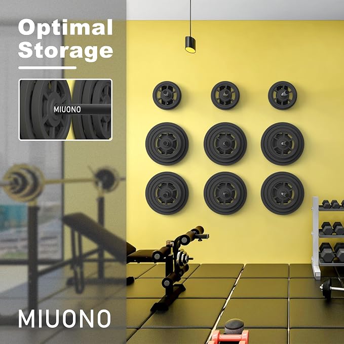 Weight Plate Holder, Wall Mounted Weight Rack Storage for Weight Plates, Home Gym Organizer