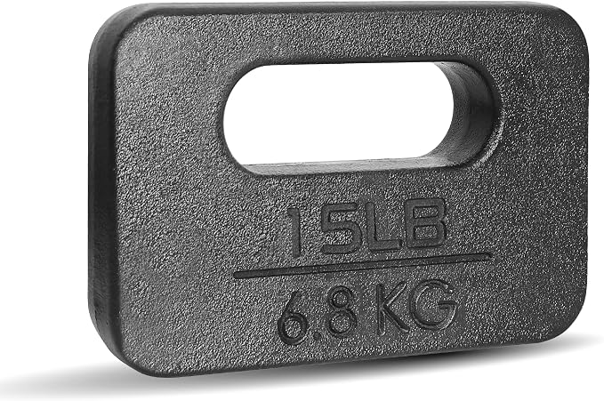 Yes4All Cast Iron Rucking Weight for Backpack, Training Weight Plate with Ergonomic Rounded Handle, Protective Glossy Finish for Weighted Walking, Hiking, Rucking, Resistance Workout