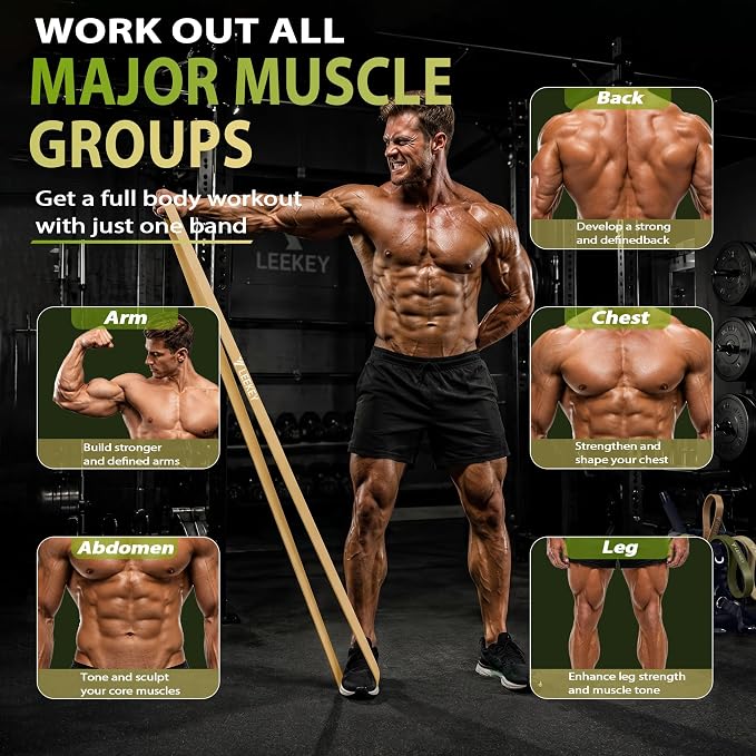 LEEKEY Pull Up Assistance Bands,5-125LB Resistance Bands with Grip、Door Anchor、Gym Bag - Exercise Bands for Full-Body Training, Fitness, Physical Therapy -USA Original Patent