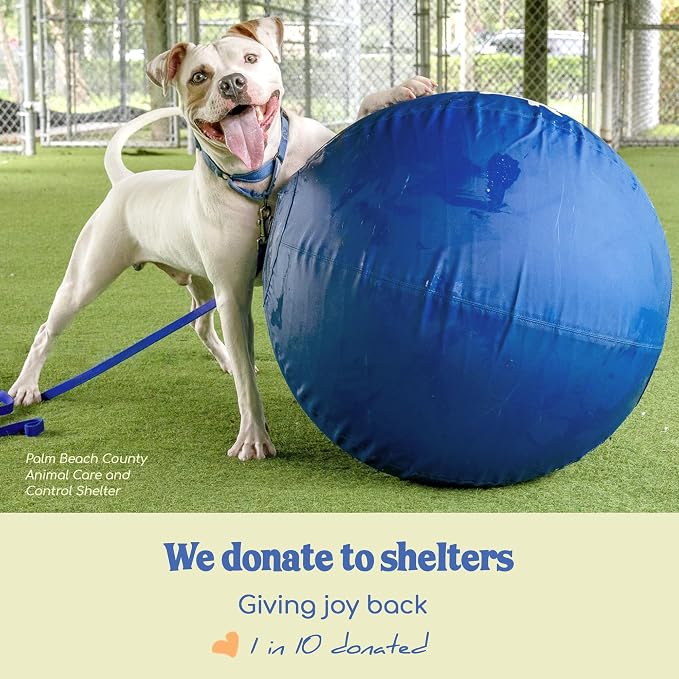 Race&Herd 22" Original Herding Ball for Dogs — Balls for Dog Toys (Ocean) | Medium Herding Ball for Australian Shepherd, Border Collie, Corgi & Blue Heeler, Instinct-Driven Outdoor Exercise