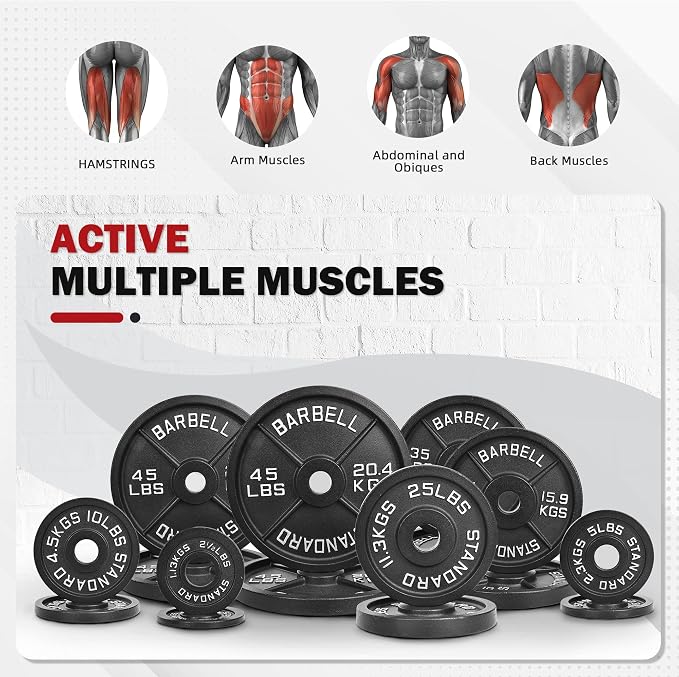 2" Cast Iron Weight Plates | 2.5LB to 45LB Standard Gym Plates (Singles, Pairs & Multi-Pack Sets) | Black with Silver Numbers for Barbell, Dumbbell, Powerlifting & Home Gym