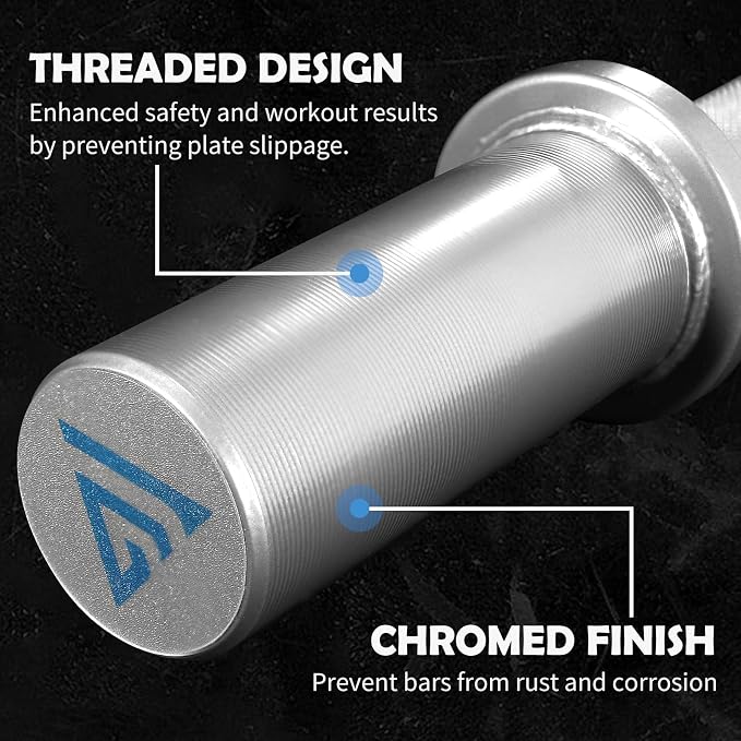 16" Olympic Dumbbell Handle, Dumbbell Bar for 2-inch Olympic Weight Plates, Loadable Dumbbells for Home Gym Strength Training, 2 Pair of Spring Collars Included