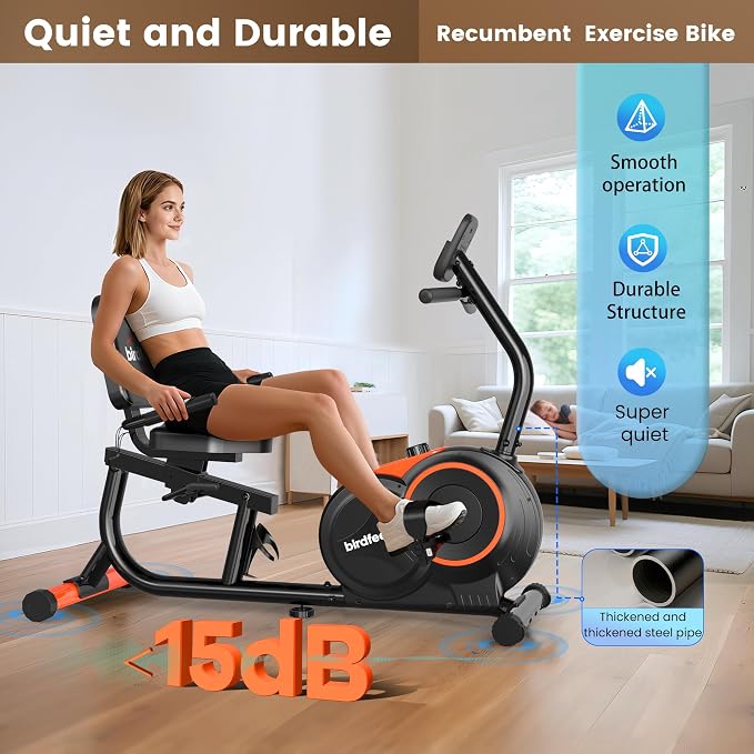 Recumbent Exercise Bike for Home,Recumbent Stationary Bikes for Adults & Seniors,Load Capacity of 400 pounds,Equipped with 16 Adjustable Gears, and Soft Adjustable Seats
