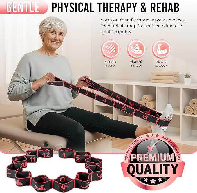 Resistance Bands, Stretch Band for Exercise, Physical Therapy, Rehab & Flexibility, Home Gym Equipment for Yoga, Pilates, Dance, Gymnastics, Number Loop Elastic Strap for Leg and Hip Stretches