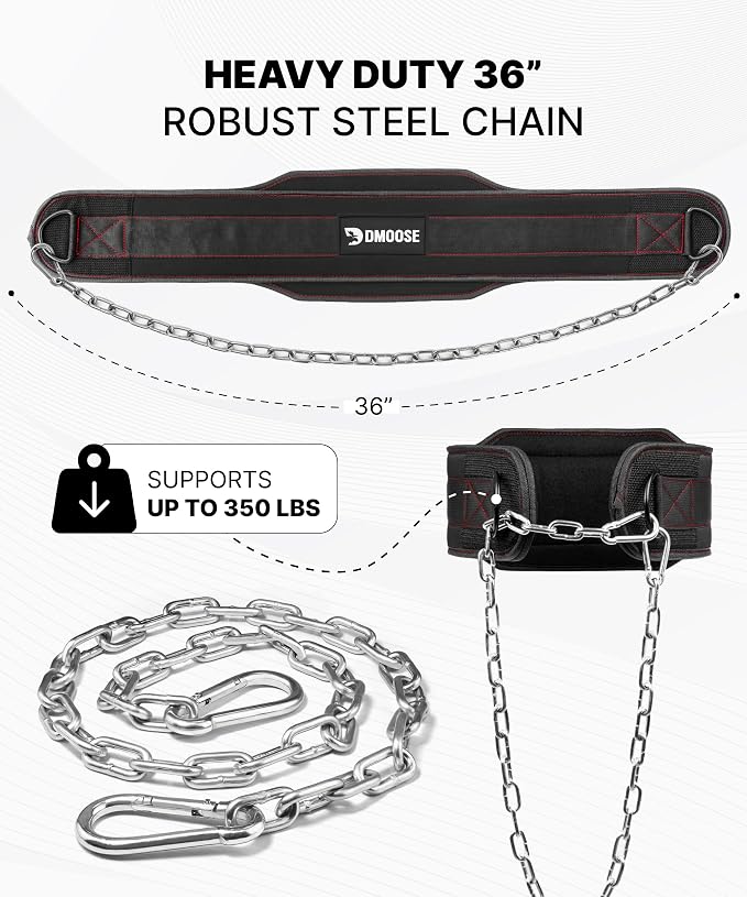 DMoose Fitness Dip Belt for Weight Lifting, Pullup, Squats & Dips - 36" Robust Steel Chain, Comfortable Neoprene Padding Supports 350lbs - Gym Weight Belt for Strength Training Workout & Weightlifting