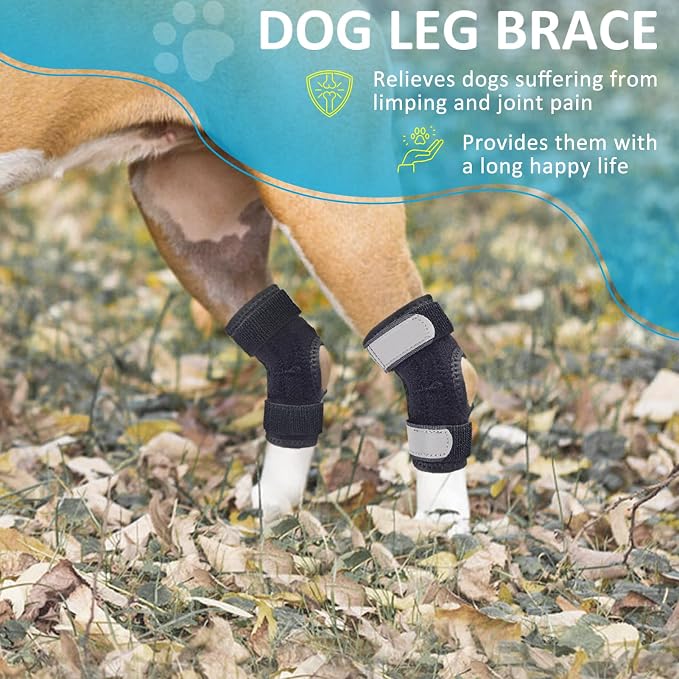 Dog Leg Braces for Rear Legs, Hock Brace for Back Legs with Metal Strips and Safety Reflective Straps for Short Legs, Joint Warps Support for Hind Legs Injuries Sprains Arthritis (XLarge)