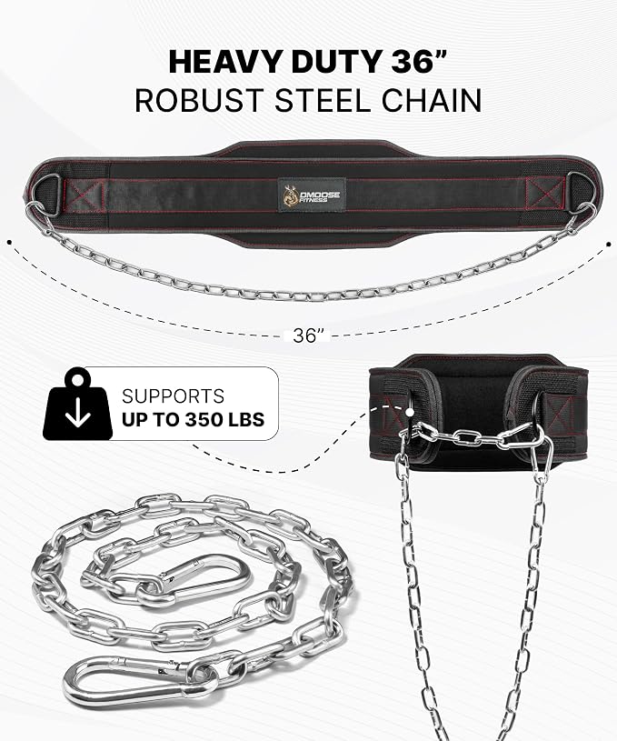DMoose Fitness Dip Belt for Weight Lifting, Pullup, Squats & Dips - 36" Robust Steel Chain, Comfortable Neoprene Padding Supports 350lbs - Gym Weight Belt for Strength Training Workout & Weightlifting