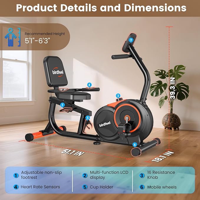Recumbent Exercise Bike for Home,Recumbent Stationary Bikes for Adults & Seniors,Load Capacity of 400 pounds,Equipped with 16 Adjustable Gears, and Soft Adjustable Seats