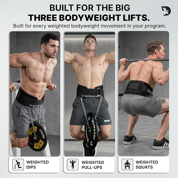 DMoose Fitness Dip Belt for Weight Lifting, Pullup, Squats & Dips - 36" Robust Steel Chain, Comfortable Neoprene Padding Supports 350lbs - Gym Weight Belt for Strength Training Workout & Weightlifting