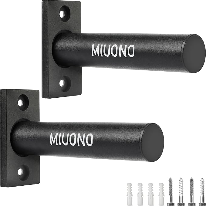 Weight Plate Holder, Wall Mounted Weight Rack Storage for Weight Plates, Home Gym Organizer
