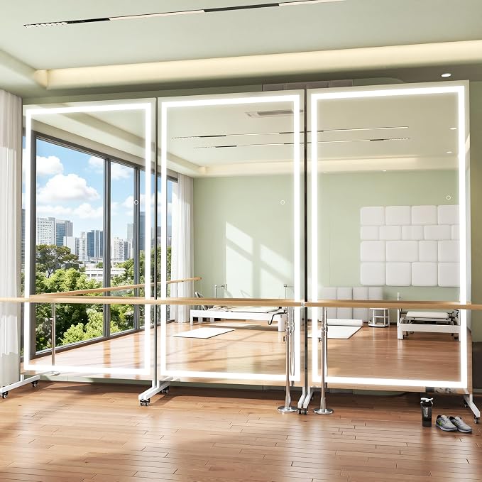 Hasipu 65"x22" LED Full Length Mirror on Wheels, 360° Swivel, White | Tempered glass & metal frame, smooth rolling casters with brakes, ideal for home gym, yoga, dance studio & bedroom.