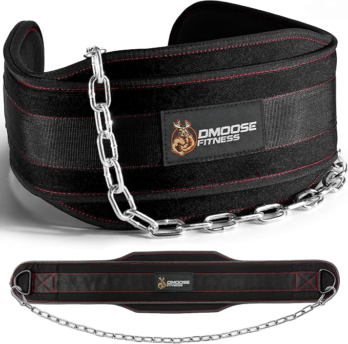 DMoose Fitness Dip Belt for Weight Lifting, Pullup, Squats & Dips - 36" Robust Steel Chain, Comfortable Neoprene Padding Supports 350lbs - Gym Weight Belt for Strength Training Workout & Weightlifting