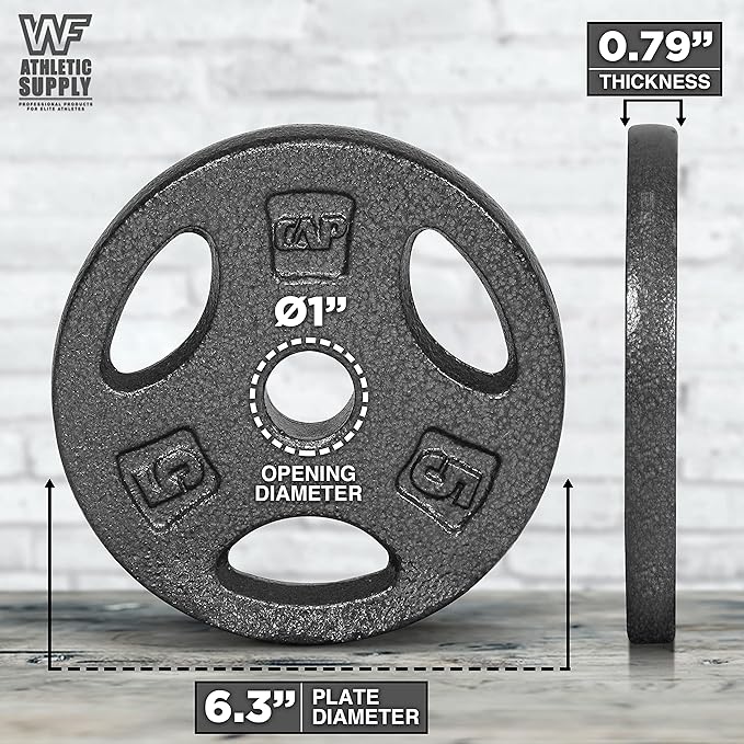 WF Athletic Supply Cast Iron 1-Inch Standard Grip Plate for Strength Training, Muscle Toning, Weight Loss & Crossfit - Multiple Choices Available