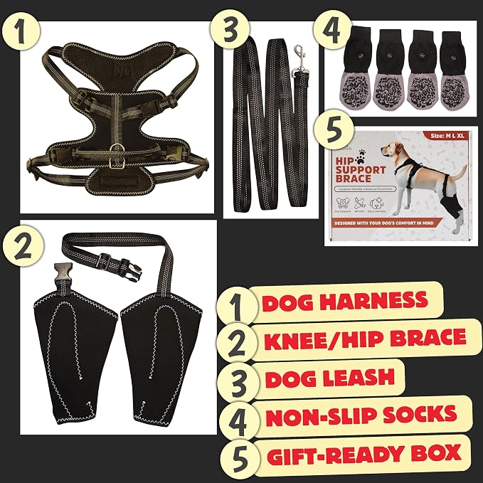 Dog Hip Dysplasia Support Brace. Dog ACL Knee Brace for Back Hind Leg; Bonus Leash and Socks; Adjustable Metal Splint Support Harness for Back Legs and Hip; Easy On Off Hook and Loop Closure - Size M | Soft Breathable Fabric with Adjustable Straps