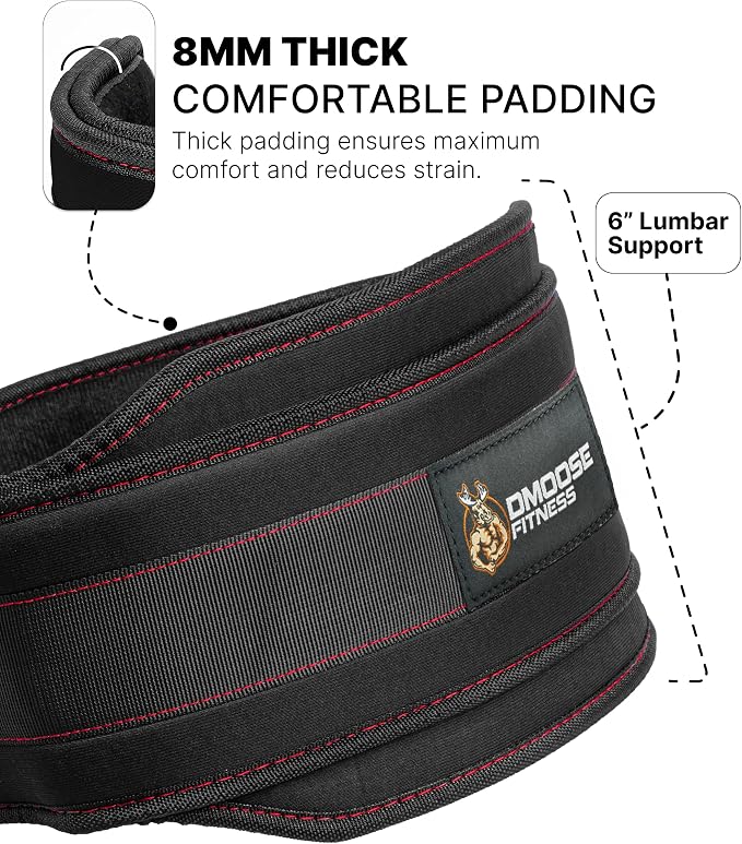 DMoose Fitness Dip Belt for Weight Lifting, Pullup, Squats & Dips - 36" Robust Steel Chain, Comfortable Neoprene Padding Supports 350lbs - Gym Weight Belt for Strength Training Workout & Weightlifting