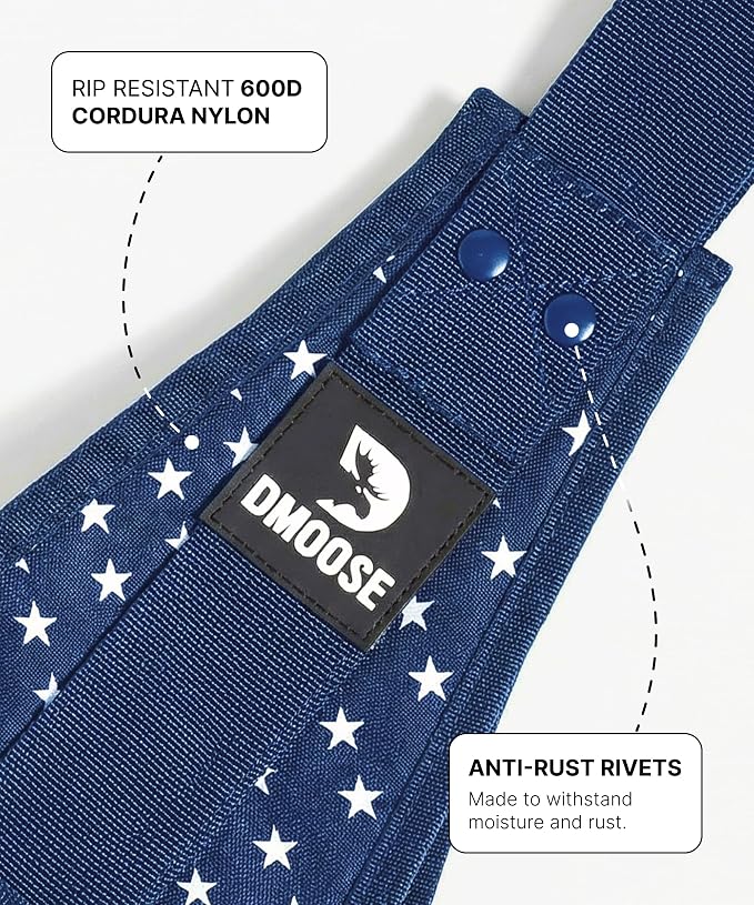 DMoose Fitness Hanging Ab Straps for Pull Up Bar & Core Strength Training - Soft Padded Exercise Straps for Ab Swing & Leg Raises, Hang Bar Strap with 2 Steel Carabiners - Abs Equipment for Home & Gym